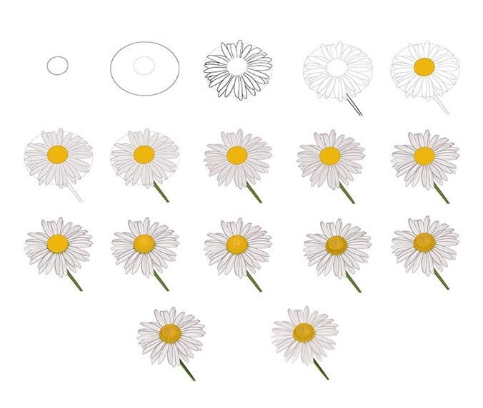 Daisy flower idea (20) Drawing Ideas