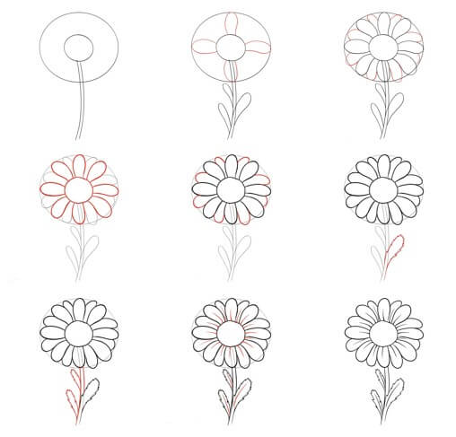 Daisy flower idea (22) Drawing Ideas