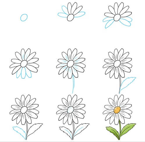 Daisy flower idea (23) Drawing Ideas