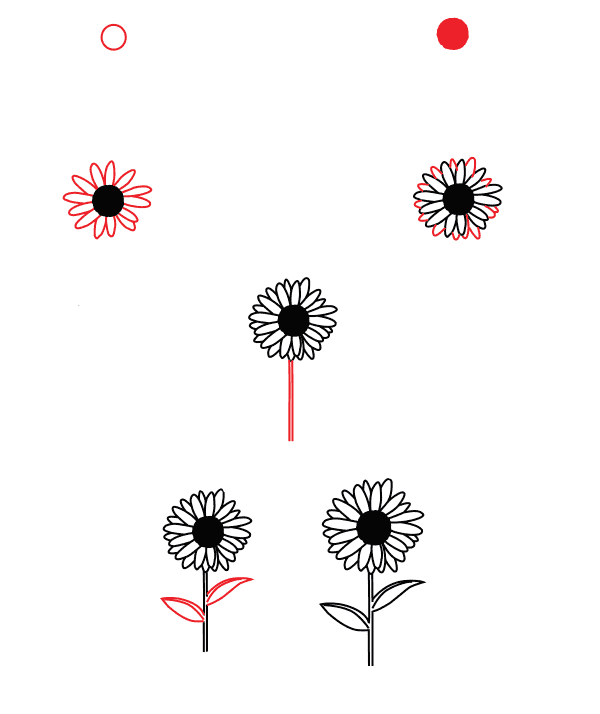 Daisy flower idea (25) Drawing Ideas
