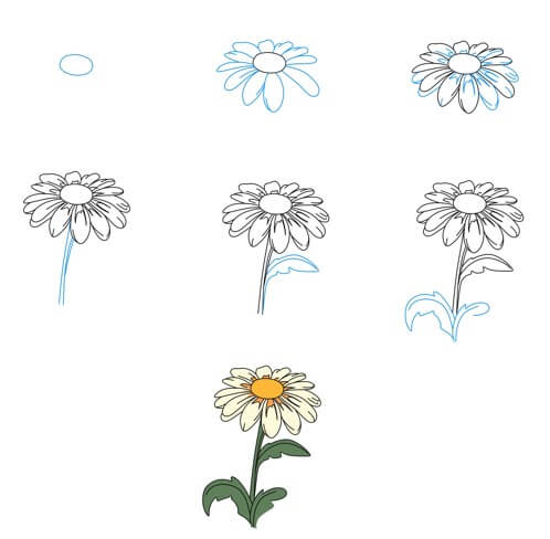 Daisy flower idea (26) Drawing Ideas