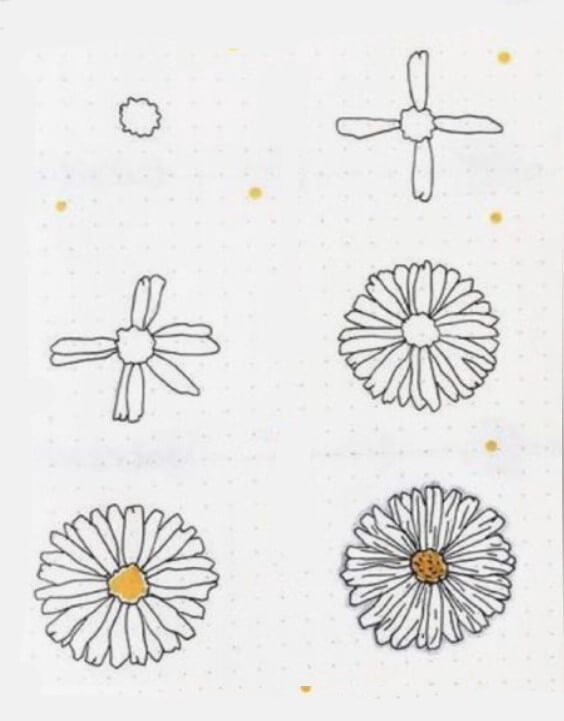 Daisy flower idea (5) Drawing Ideas