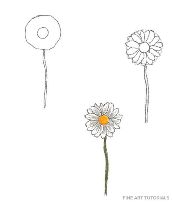 Daisy flower idea (6) Drawing Ideas