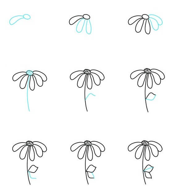 Daisy flower idea (7) Drawing Ideas