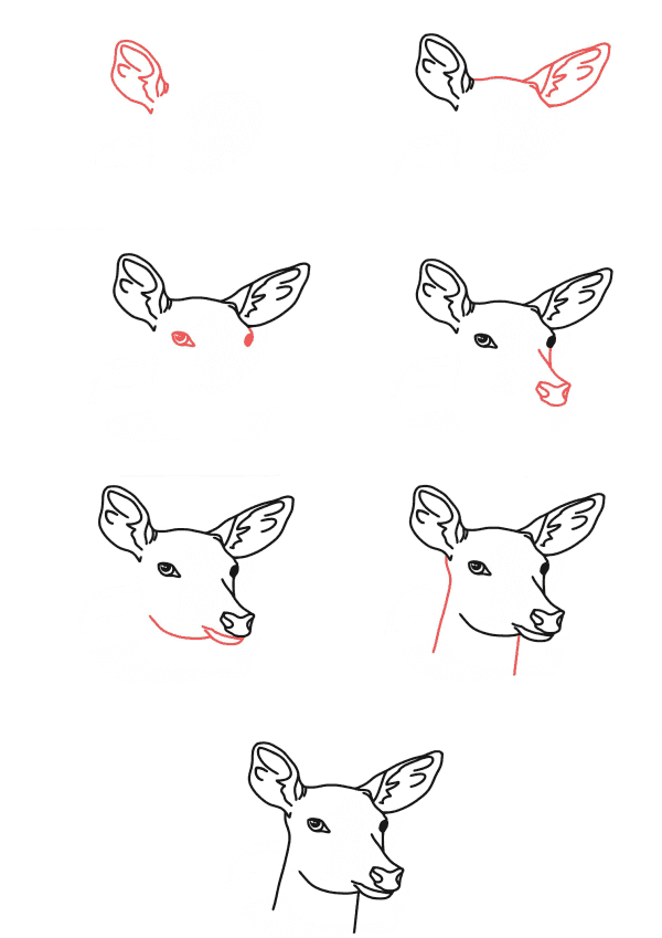 Deer head Drawing Ideas