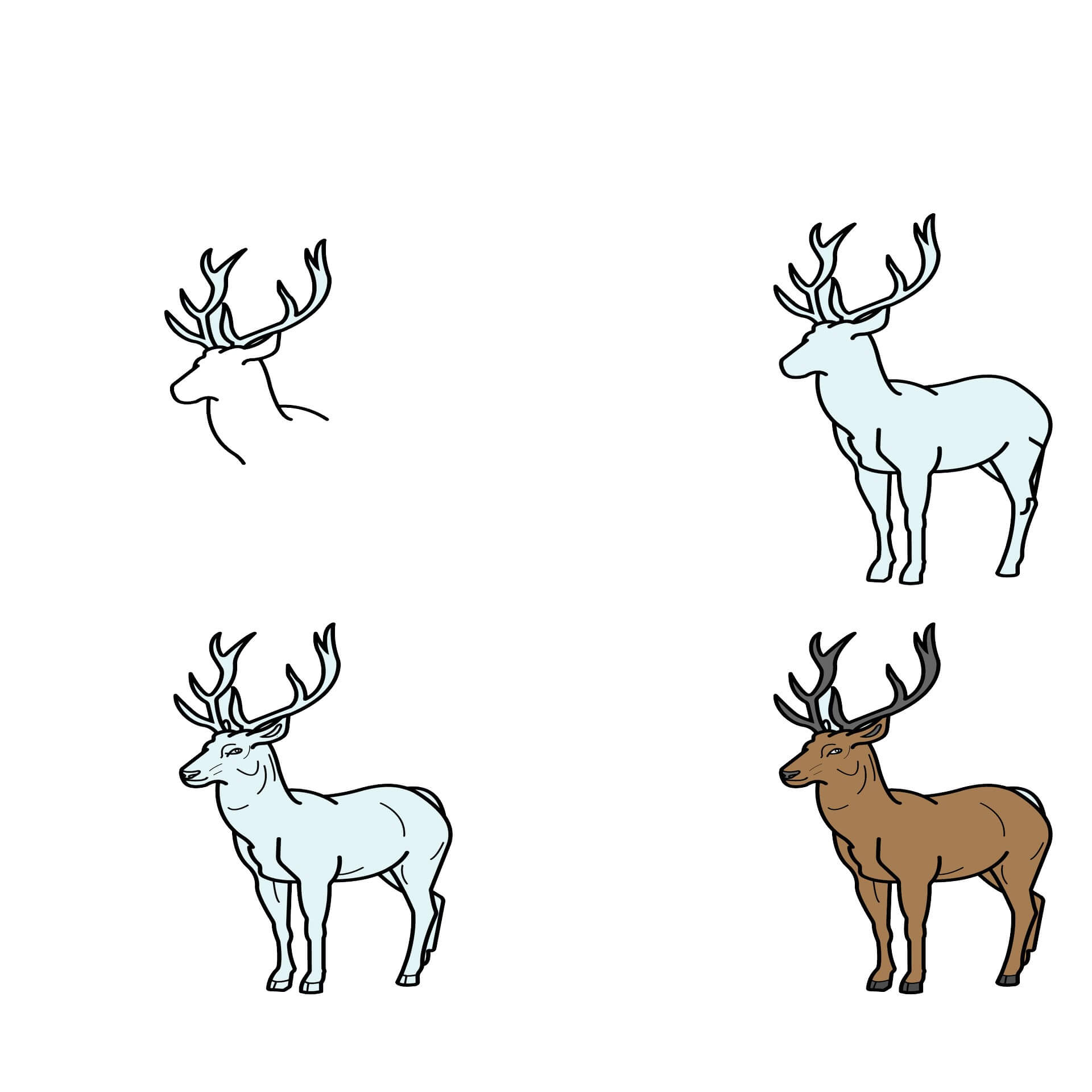 How to draw Deer idea (10)