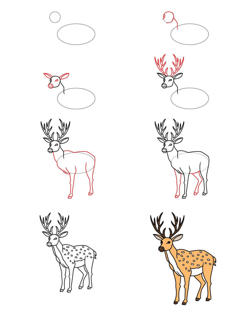 How to draw Deer idea (11)