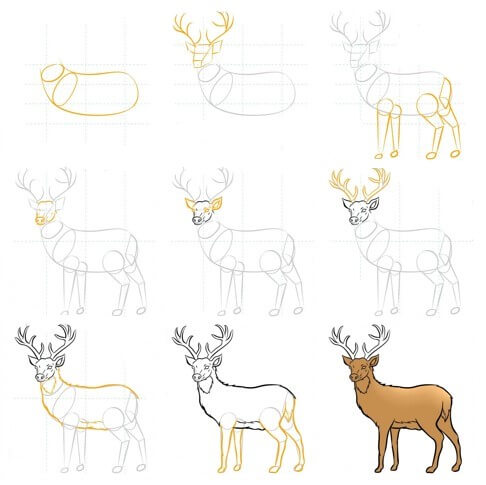 How to draw Deer idea (3)