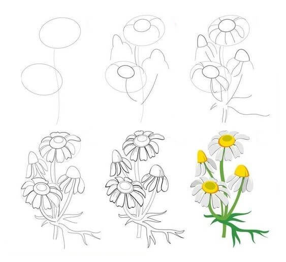Flower idea (1) Drawing Ideas