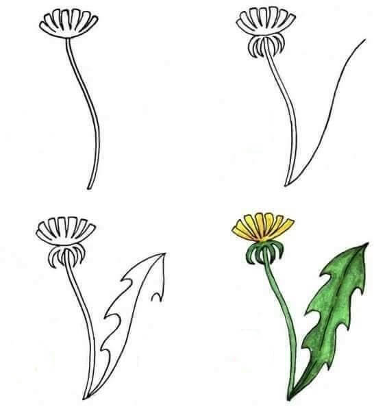Flower idea (11) Drawing Ideas