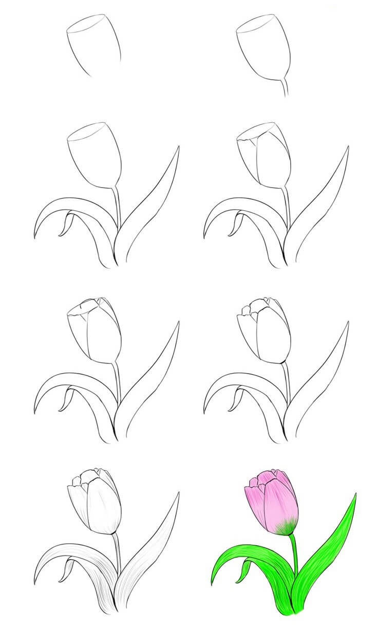 Flower idea (2) Drawing Ideas