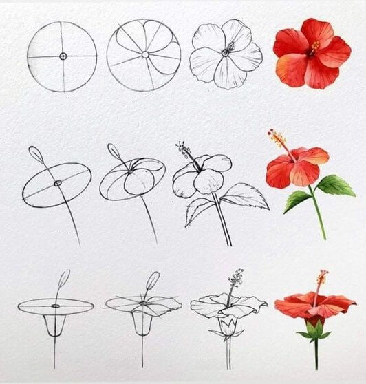 Flower idea (24) Drawing Ideas