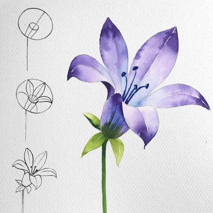 Flower idea (28) Drawing Ideas