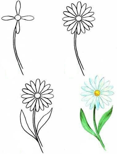 Flower idea (37) Drawing Ideas