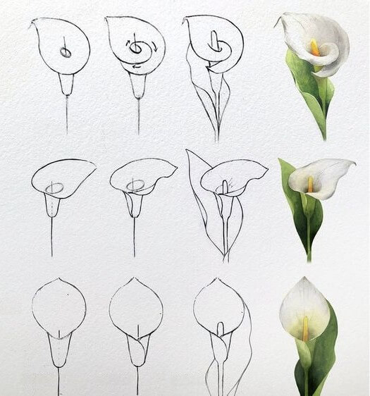 Flower idea (38) Drawing Ideas