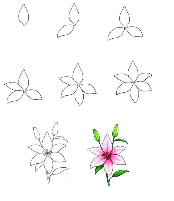Flower idea (41) Drawing Ideas