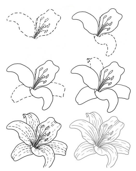 Flower idea (42) Drawing Ideas