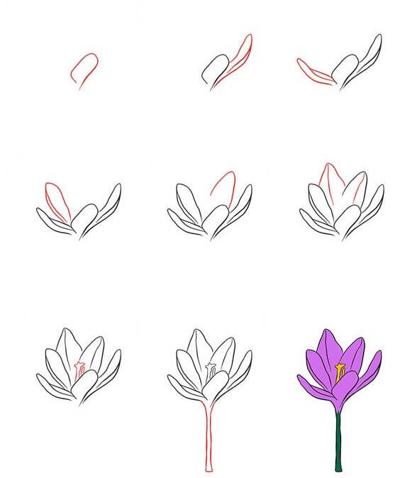 Flower idea (44) Drawing Ideas