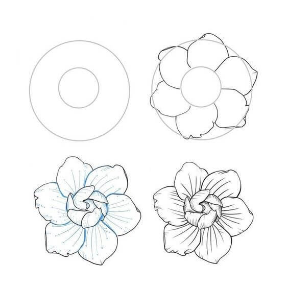Flower idea (45) Drawing Ideas