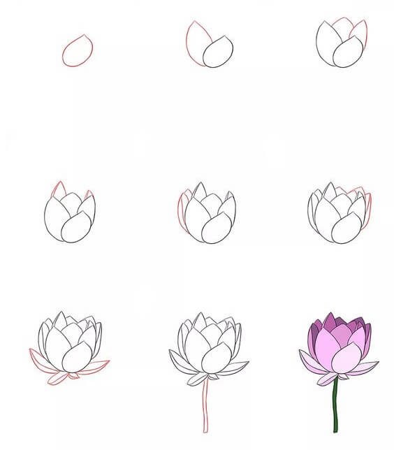 Flower idea (5) Drawing Ideas