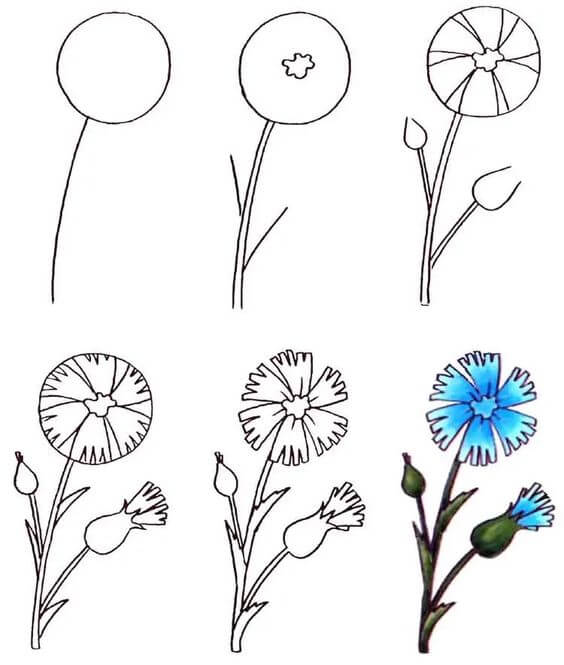 Flower idea (53) Drawing Ideas