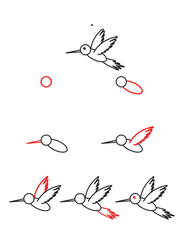 Hummingbird for kids Drawing Ideas