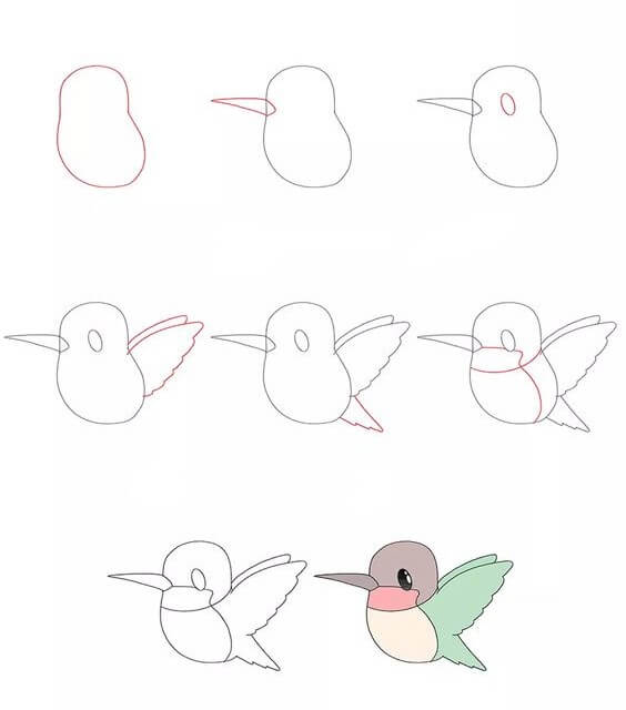 Hummingbird idea (1) Drawing Ideas