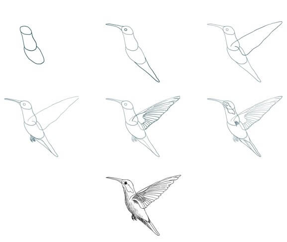 Hummingbird idea (10) Drawing Ideas