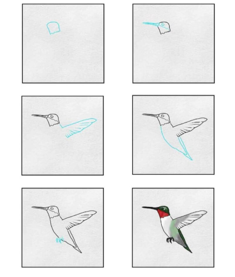 Hummingbird idea (11) Drawing Ideas