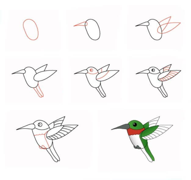 Hummingbird idea (12) Drawing Ideas