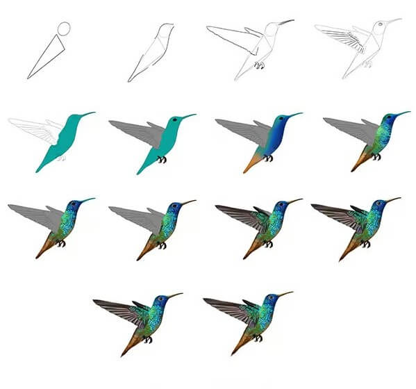 Hummingbird idea (14) Drawing Ideas