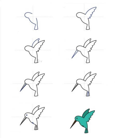 Hummingbird idea (16) Drawing Ideas