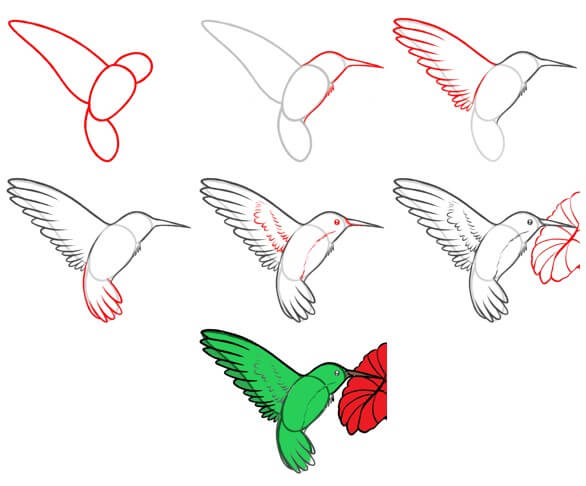 Hummingbird idea (17) Drawing Ideas
