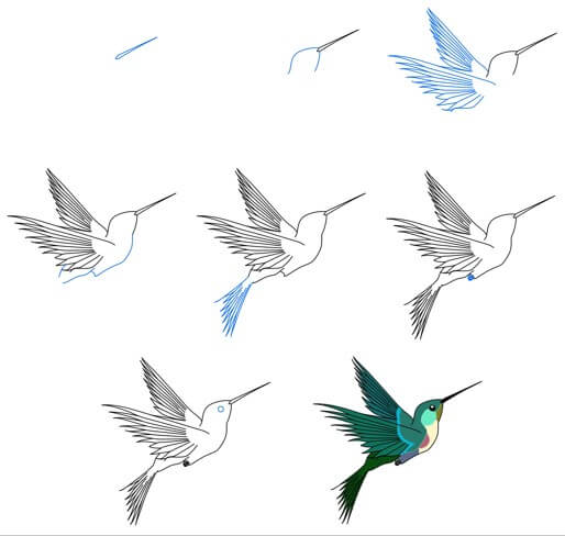 Hummingbird idea (18) Drawing Ideas
