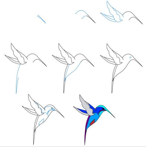Hummingbird idea (19) Drawing Ideas