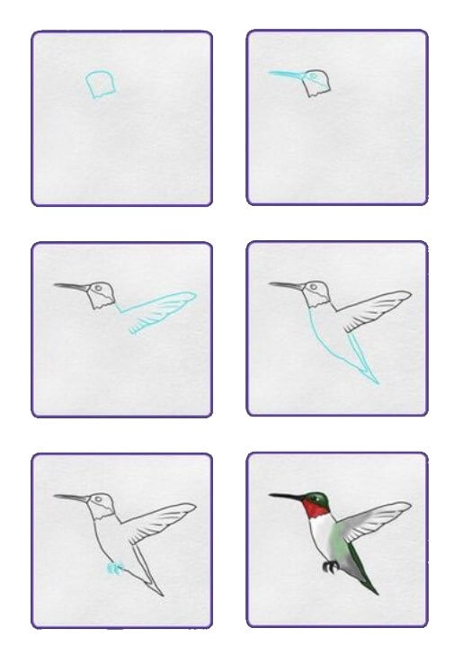 Hummingbird idea (2) Drawing Ideas