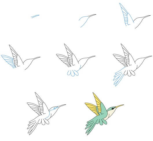 Hummingbird idea (21) Drawing Ideas