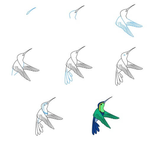 Hummingbird idea (22) Drawing Ideas