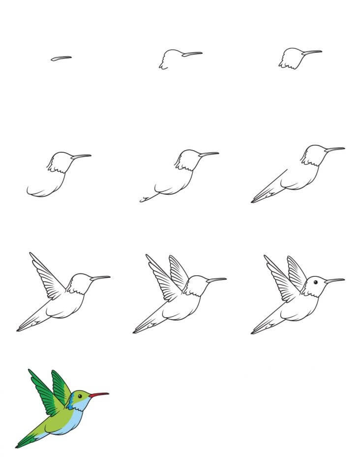 Hummingbird idea (25) Drawing Ideas