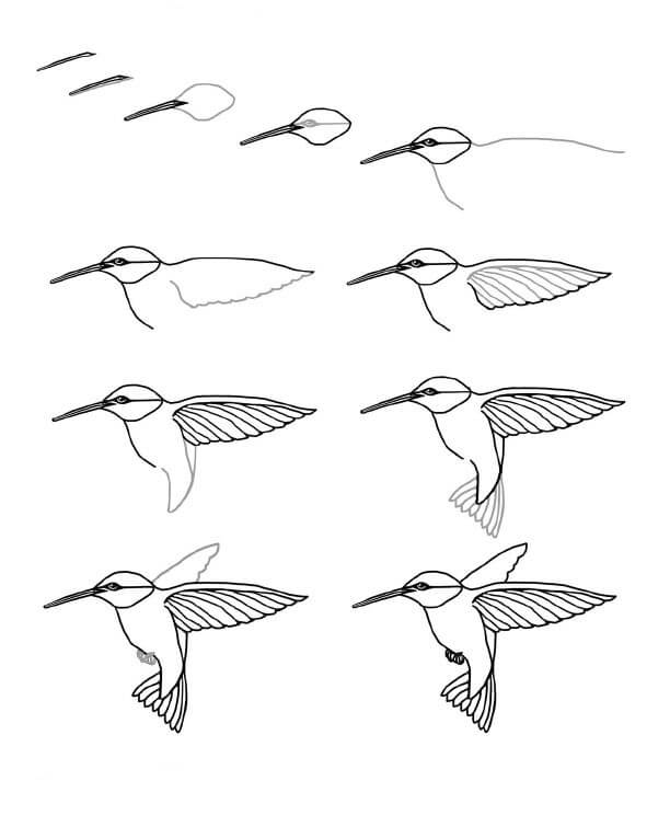 Hummingbird idea (26) Drawing Ideas