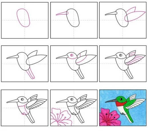 Hummingbird idea (3) Drawing Ideas