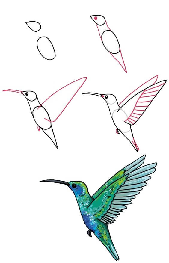Hummingbird idea (4) Drawing Ideas