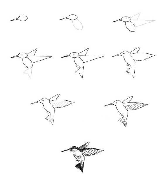Hummingbird idea (5) Drawing Ideas