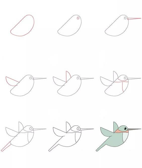 Hummingbird idea (6) Drawing Ideas