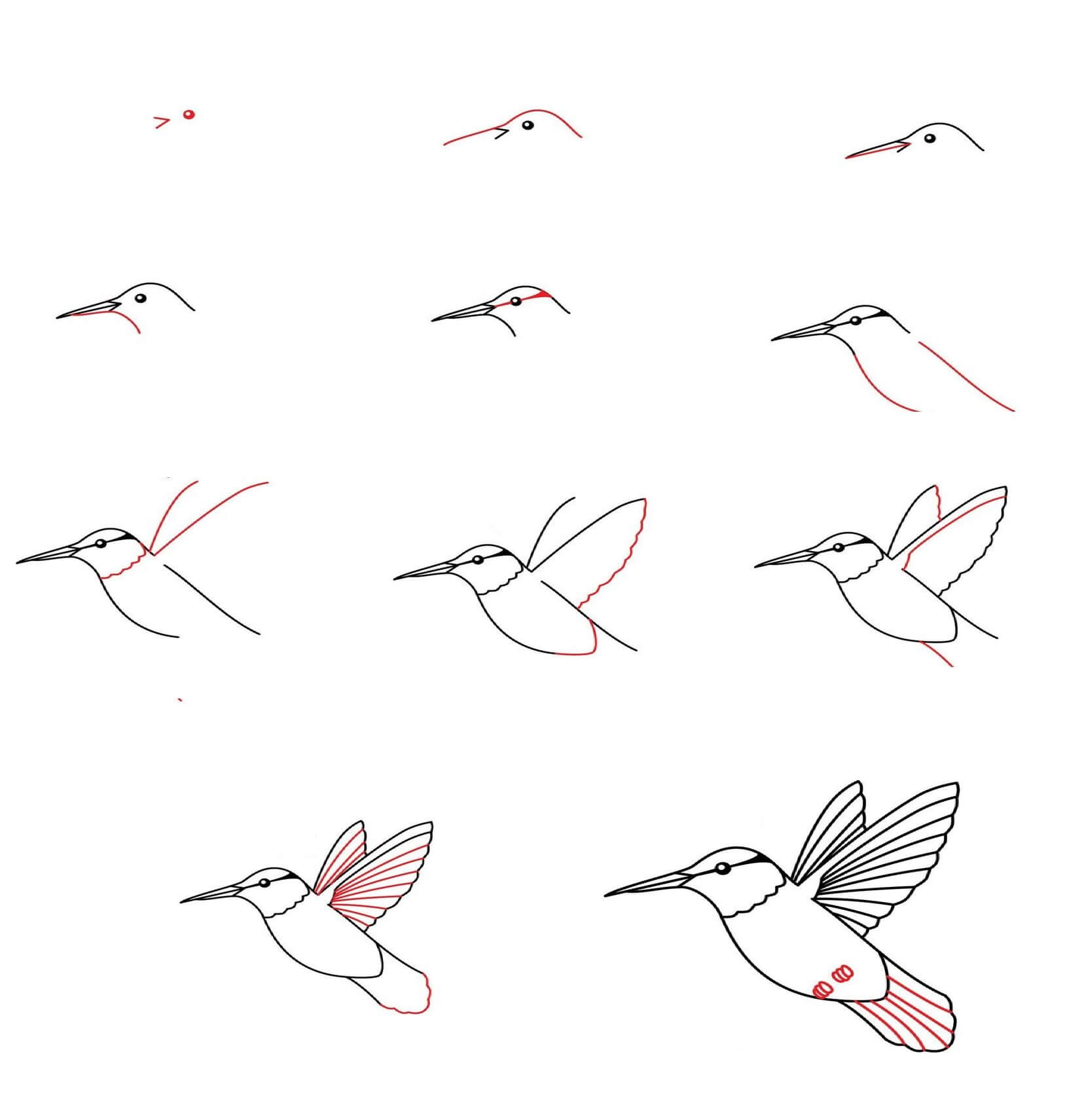 Hummingbird idea (8) Drawing Ideas