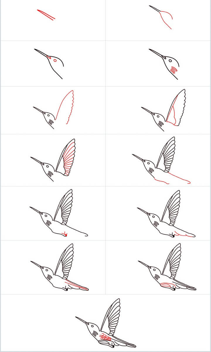 Hummingbird idea (9) Drawing Ideas