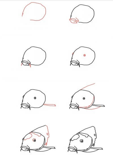Koi fish face Drawing Ideas