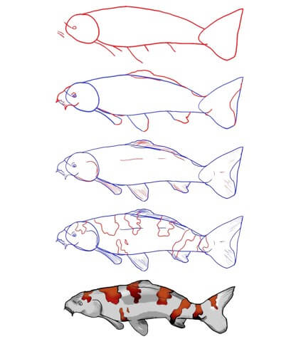 Koi fish idea (22) Drawing Ideas