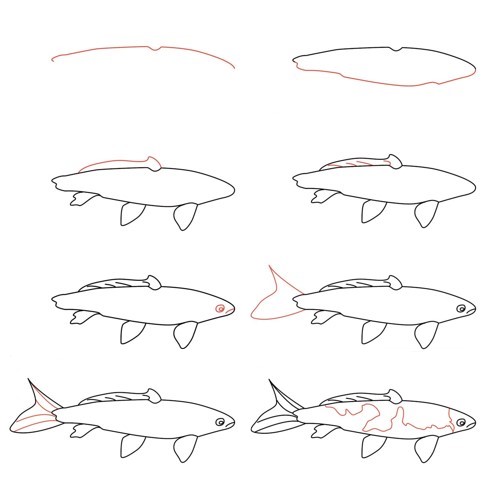 Koi fish idea (25) Drawing Ideas