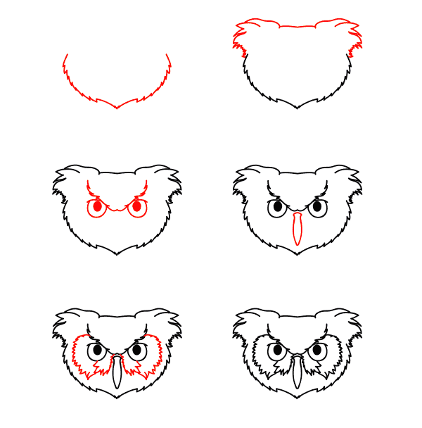 Owl face Drawing Ideas